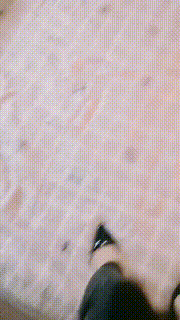 【纯均女王】全包窒息专场 bf23687