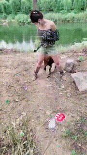 【宸宸S】双S户外遛狗-路人观看-爬行转胯（三视角） bf29055_2