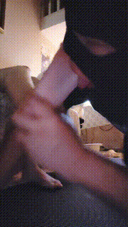 【芹泽蕾拉】JK萝莉主tj老肥狗 bf32678