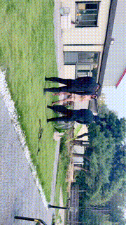 【沅芷大人】户外院子-犬化双奴奴下奴 bf32682