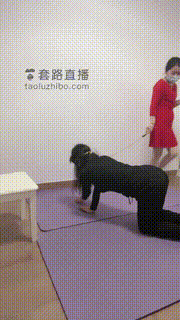 【暖暖SSS】安抚两个宠物 bf18953