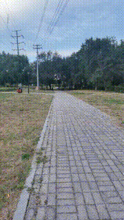 【魔鬼天使】户外犬化遛狗爬行【完整版】 bf33204_2