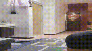 【ViVi】之家奴的午餐