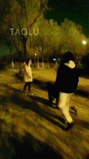 【红杉】户外玩狗 bf11049