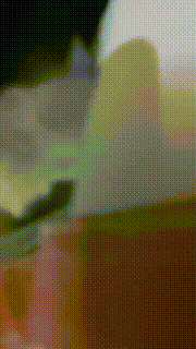 【羌爷】萝莉主大热天靴子与狗【完整版】 bf29414_1