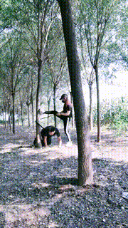 【郡主大人】户外-强行捆绑袜子塞嘴鞭打【双视角版】 bf33004_2