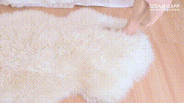 【SSA丝社】 短片 NO.153 素素 浪莎肤色丝袜