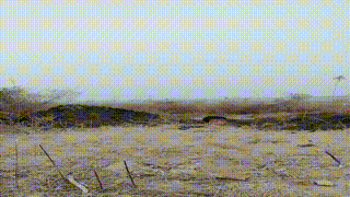 【沐颜】户外鞭打跟踪狂_体验活埋【双视角版】JS250111-25