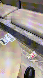 【礼礼大人】双S极度羞辱饭桌下的狗【双视角版】 bf21947_1