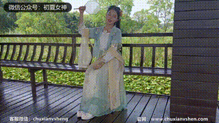 【初夏女神 】NO.088 双双 荷花仙子