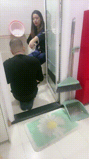 【嘉文】老狗求喝圣水 bf20464