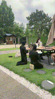 【沅芷大人】奴的正确使用方式-桌旁伺候打牌-电击出火花 JS230709029