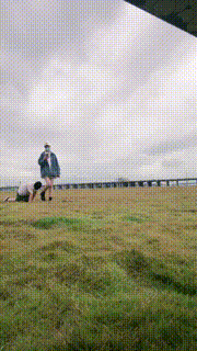 【宸宸 】户外遛狗骑马脏靴踩狗爪-舔臭脚 bf26271