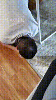 【巴莉】双S-脚下有狗伺候吃饭 bf9745