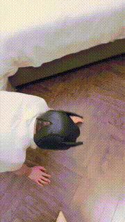 【莫瑶大大】双S胯下辱-踩踏坐垫坐脸喂食【双视角完整版】bf32233_1