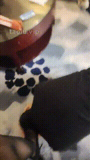 【果柠双S】暴力踢踹强制按头夹头头压马桶黑丝美腿诱惑 JS23052002