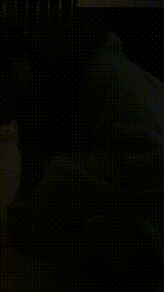 【麋鹿银儿】精彩-健身女神群调群虐 bf21189