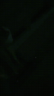 【嘉妮】户外惩罚跟踪狂-骑马遛狗舔脚【双视角完整版】 bf25741_2