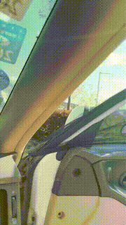 【魔鬼天使】风景区骑马爬坡挑战极限【完整版】 bf29170_1