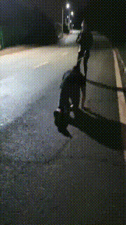 【朱迪】双S户外遛狗散步【双视角版】 bf33283_1