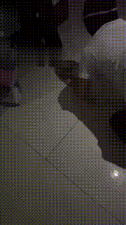 【伊妮S】开发素人做狗 bf22022