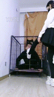 【傲柔】教妹妹虐关在狗笼里的继父 bf11345