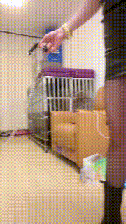 【暴力美学】狗笼圈养-白袜塞嘴枷锁固定鞭打-短靴踩 bf30869