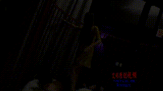 【奴隶岛】—分赃不均踩杀队友