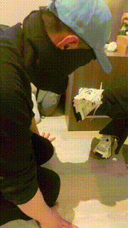 【伊莉】超臭原味白棉袜捂狗高跟踩狗爪 bf26409