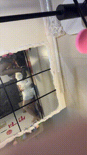 【橘子没熟】指挥好闺蜜自虐奖励舔皮鞋黑丝bf48781