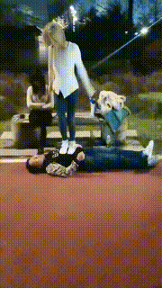 【紫烟】双S户外玩狗狗【双视角版】 bf9006_1