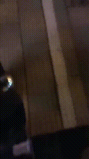 【上海户外gogogo】足疗店开发技师巅峰之作【完整版】 JS23030301_1