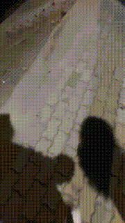 【橘子没熟】精彩高中女同学首次户外调【完整版】 bf25475