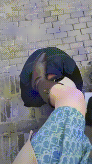 【乐姐】护城河惩罚家奴罚跪【完整版】 bf10010_1