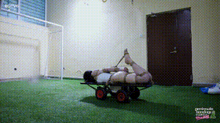 【半岛束艺】机动门将~白鲸奎因