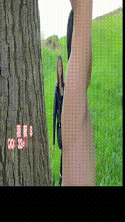 【羽薇女神】野外骑乘鞭打羞辱猪猪舔脏鞋底 bf20967