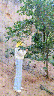 【君舞女王】野外让狗奴伺候【上】 bf12015