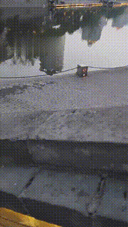 【乐姐】护城河惩罚家奴罚跪【完整版】 bf10010_2