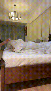 【毛绒月亮】主人睡觉偷舔jio高跟踩喂食 bf34158