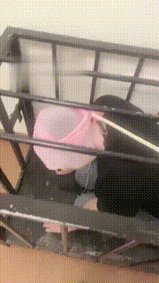 【霁月S】训练圈养贱狗 bf17944