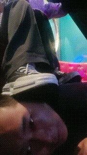 【明明】KTV帆布鞋原味棉袜玩狗【下】 JS23040201