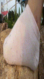 【物恋传媒】第21期： 夏日么么茶，清新棉袜配黑色帆布鞋.MP4