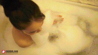 【ROSI视频】2013.12.24 视频NO.016