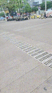 【全能来福M】给路人美女跪拜会是什么反应【续集】 bf28012