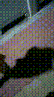 【嘉妮】户外惩罚跟踪狂-骑马遛狗舔脚【双视角完整版】 bf25741_4