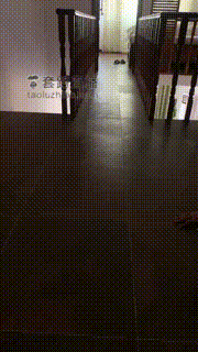 【宝爷】起床后贱狗伺候 bf22245