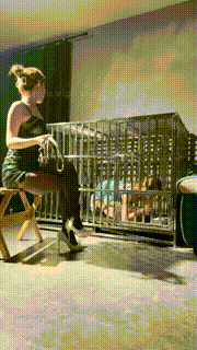 【领主老大】母畜-狗笼圈养-喂食-五花大绑挠痒-道具塞嘴 bf30813