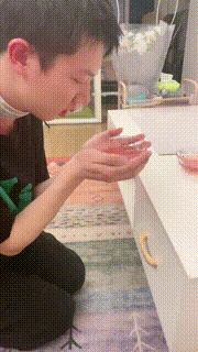 【奈奈生】绿帽男友甘愿跪下为奴 bf24992