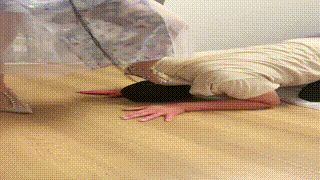 【暖暖】耳光_铆钉高跟踩_镜前羞辱_狂吸肉丝脚bf43607