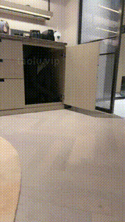 【沅芷大人】家奴的一天-刑具喂口水-短靴裸足闻舔 bf31052